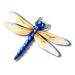Watercolor Dragonfly PNG 05212024 PNG image with transparent background