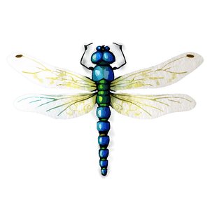Watercolor Dragonfly PNG 05212024 PNG image with transparent background