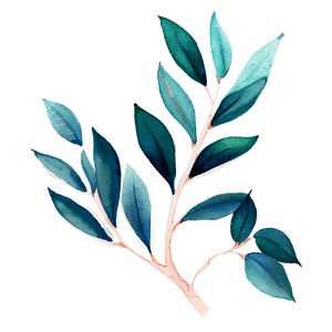 Watercolor Eucalyptus Leaves PNG 33 PNG