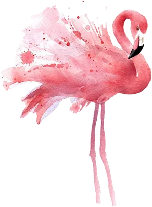 Watercolor Flamingo Artwork PNG Image