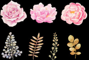 Watercolor Flowers Png Transparent Background - Watercolor Flowers Transparent Background, Png Download PNG image with transparent background