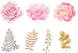 Watercolor_ Floral_and_ Foliage_ Collection.jpg PNG Image