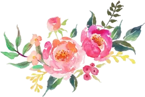 Watercolor Floral Arrangement Pink Roses PNG Image