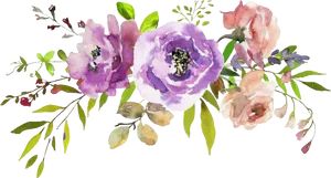 Watercolor Floral Arrangement Transparent Background PNG Image