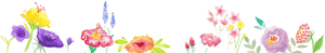 Pastel Flower Header Png, Transparent Png PNG with transparent background