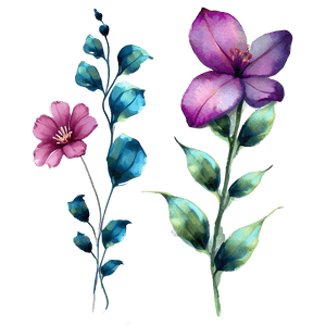 Watercolor Flowers Art PNG ijh27 PNG image with transparent background
