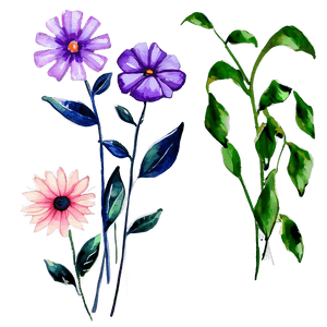 Watercolor Flowers Art PNG ujo PNG image with transparent background