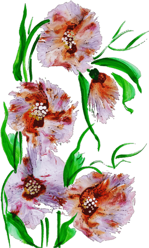 Lily Family, HD Png Download PNG image with transparent background