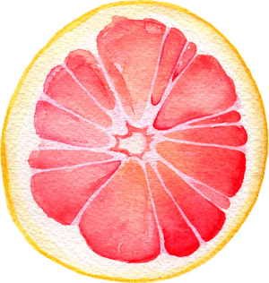 Grapefruit Watercolor Painting , Png Download - Watercolor Grapefruit Png, Transparent Png PNG with transparent background