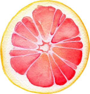 Watercolor Grapefruit Slice PNG Image