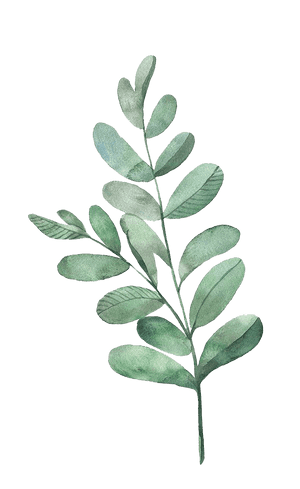 Watercolor Green Leaf Branch PNG image with transparent background