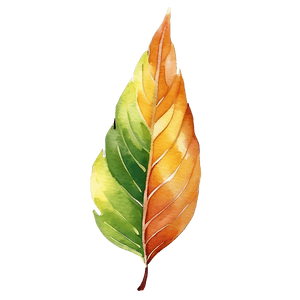 Watercolor Leaves PNG 98 PNG image with transparent background
