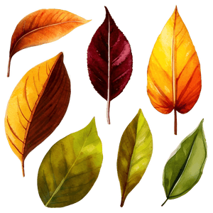 Watercolor Leaves PNG eik PNG image with transparent background