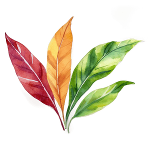 Watercolor Leaves PNG huu47 PNG image with transparent background