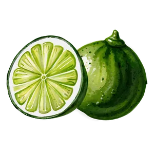 Watercolor Lime Slice Png Wto59 PNG Image