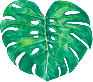 Watercolor Monstera Leaf Artwork PNG Image