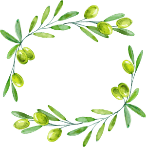 Transparent Olive Leaf Png - Olive Branch Olive Border, Png Download PNG with transparent background