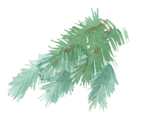 Watercolor Palm Leaves Illustration PNG Image