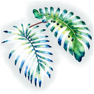 Watercolor Palm Leaves PNG 18 PNG image with transparent background