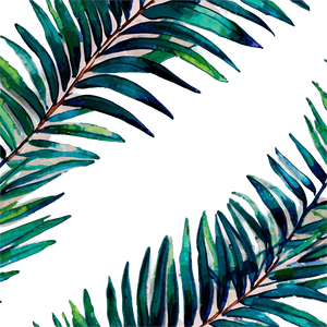 Watercolor Palm Leaves PNG dgx60 PNG image with transparent background