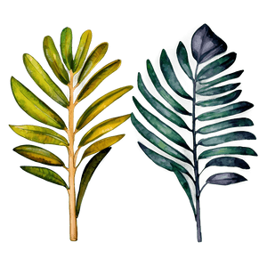 Watercolor Palm Leaves PNG oib PNG image with transparent background
