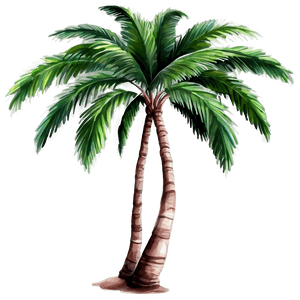 Watercolor Palm Tree PNG 64 PNG image with transparent background