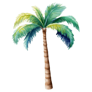 Watercolor Palm Tree PNG cks64 PNG image with transparent background