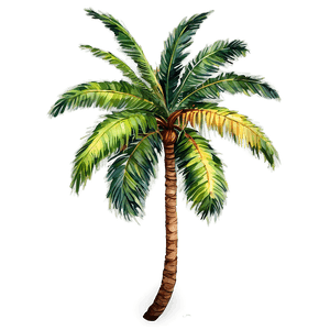 Watercolor Palm Tree PNG frt PNG image with transparent background