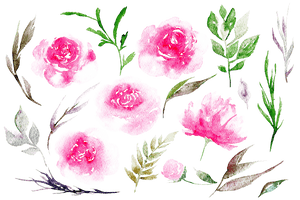 Peony PNG Image PNG with transparent background