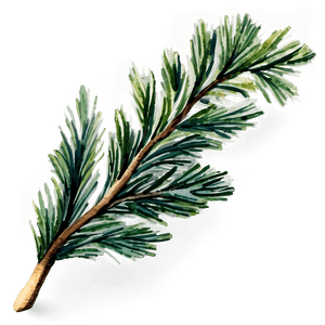 Watercolor Pine Branch PNG 06132024 PNG with transparent background
