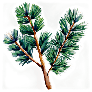 Watercolor Pine Branch PNG 06132024 PNG with transparent background