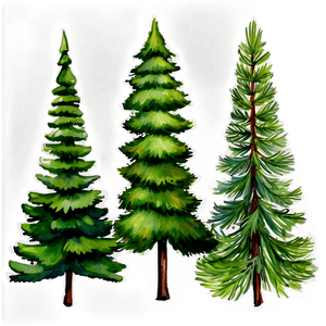 Watercolor Pine Trees PNG dot PNG