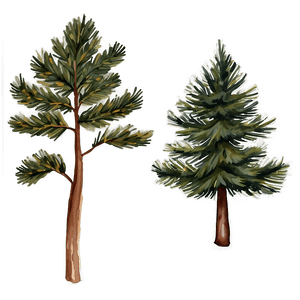 Watercolor Pine Trees PNG uxg79 PNG