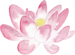 Watercolor Pink Lotus Flower PNG Image