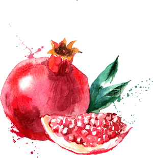 Pomegranate Watercolor Painting, HD Png Download PNG with transparent background