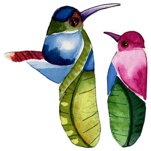 Watercolor Print PNG ibk PNG with transparent background