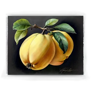 Watercolor Quince Painting Png Ysd PNG Image