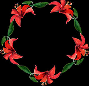 Clip Art, HD Png Download PNG image with transparent background