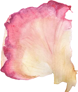 Watercolor Rose Petal.png PNG Image