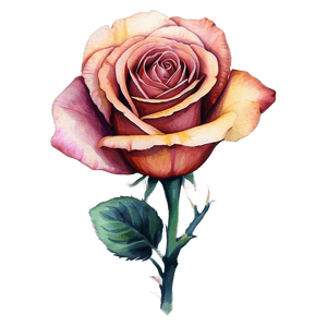Watercolor Rose Tattoo Drawing PNG 05252024 PNG image with transparent background