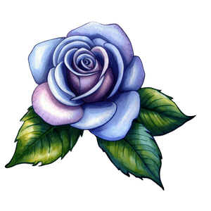 Watercolor Rose Tattoo Drawing PNG 45 PNG image with transparent background