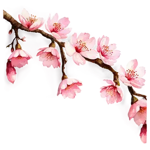 Watercolor Sakura Flower Png Mox PNG Image