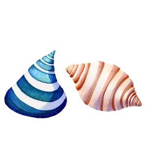 Watercolor Seashell Clipart Png 78 PNG Image