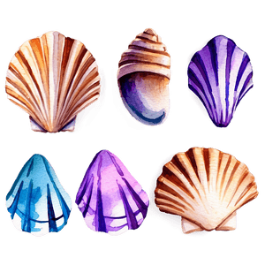 Watercolor Seashells PNG 06132024 PNG