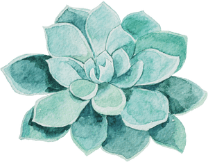 Watercolor Succulent Png - Mothers Day Massage Gift Cert, Transparent Png PNG image with transparent background