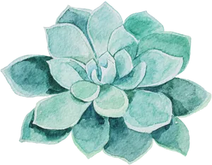 Watercolor Succulent Artwork PNG Image