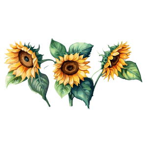 Watercolor Sunflower Illustration PNG yrl34 PNG