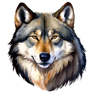 Watercolor Wolf Head Painting Png Cxg11 PNG Image