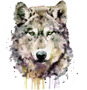 Watercolor Wolf Portrait PNG Image