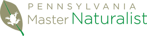 Waterfall Png, Transparent Png PNG image with transparent background